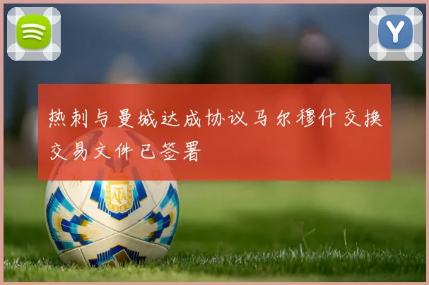热刺与曼城达成协议马尔穆什交换交易文件已签署
